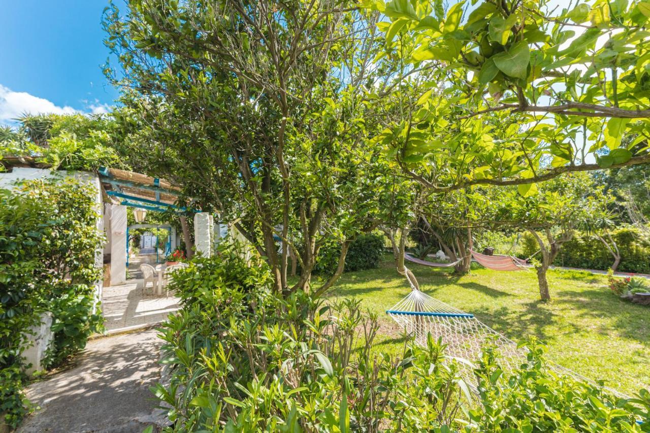 Le Querce Villa Procida Luaran gambar