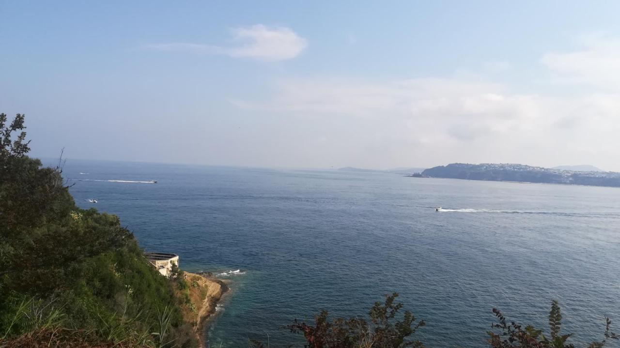 Le Querce Villa Procida Luaran gambar
