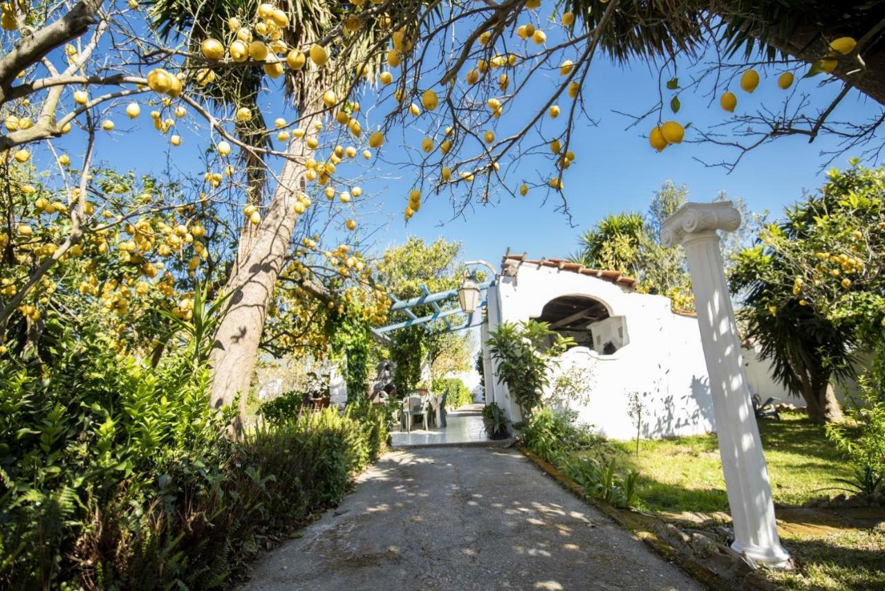 Le Querce Villa Procida Luaran gambar